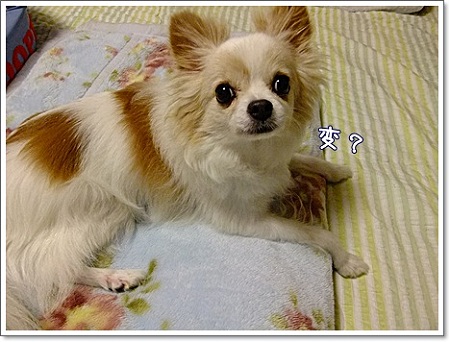 へん?