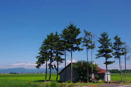 IMGP8002