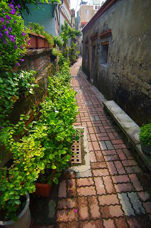 IMGP6496