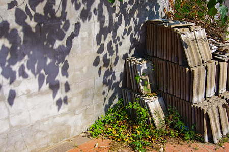 IMGP0048
