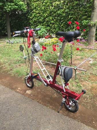 お花と愛車