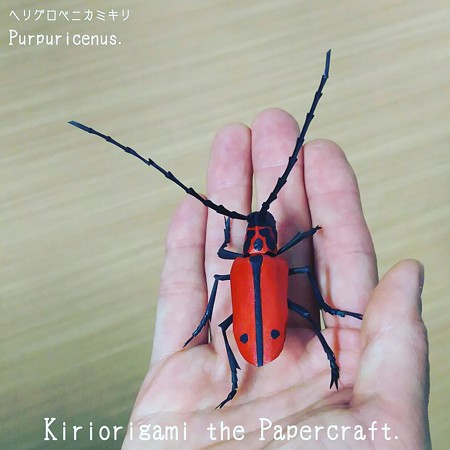 ヘリグロベニカミキリ