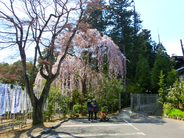 CIMG0576