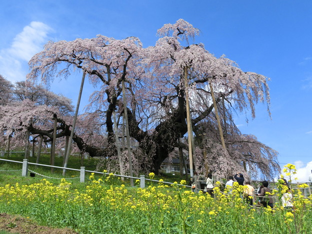CIMG0603