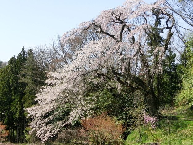 CIMG0651