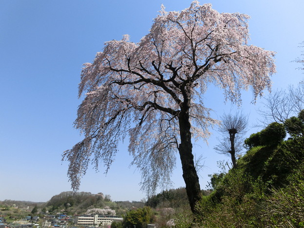 CIMG0643