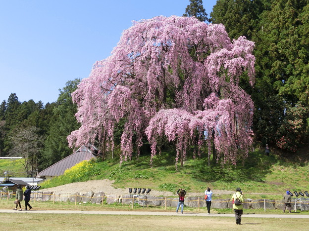 CIMG0633