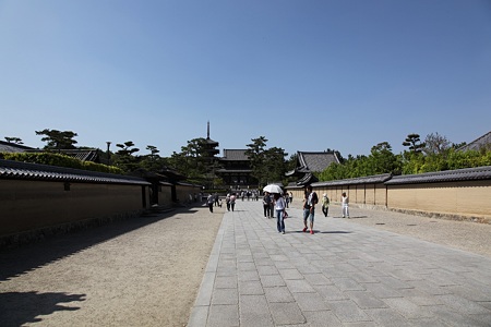 c-110505-144747 法隆寺