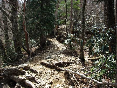 c-110504-122432 登山道の様子