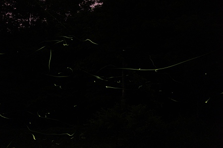 c-110703-210441