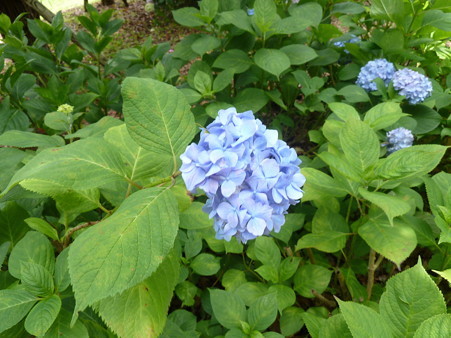 20120617_
