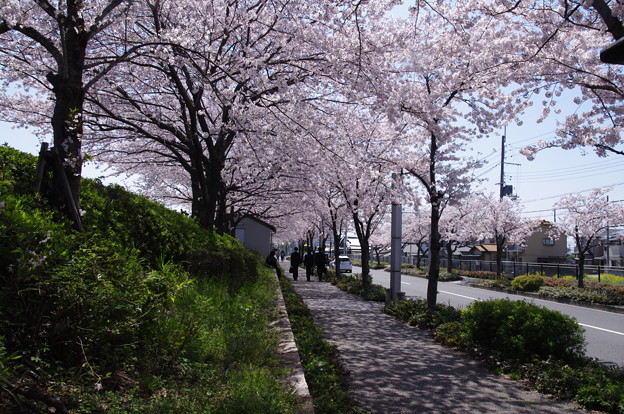 20150402_市役所前 (1)