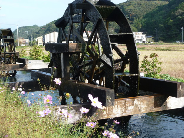 四ケ村溝_水車 (3)