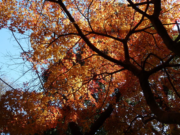 12_焼山寺