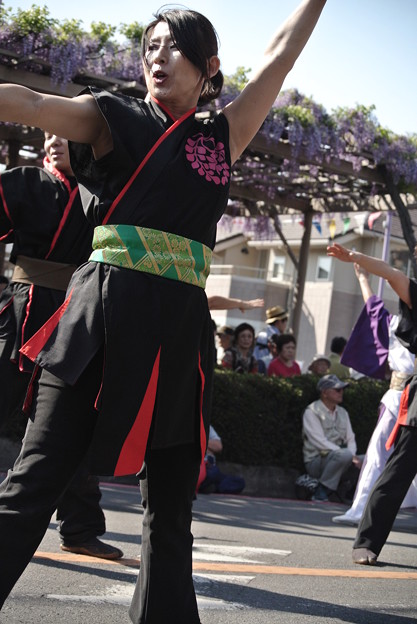 20150426_508