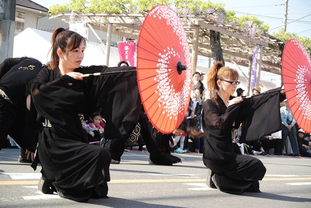20150426_528