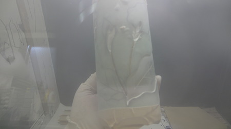 今日の作品　カラーの花5
