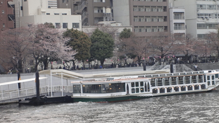 吾妻橋上。船着場見ゆ。桜は満開っぽいのもあるが、全体2分くらいか。