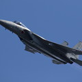 岐阜基地航空祭11 F-15