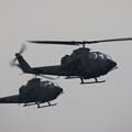 Photos: 降下訓練始め6 AH-1