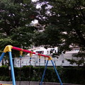 Photos: 東京目黒区・目黒銀座児童遊園にて2
