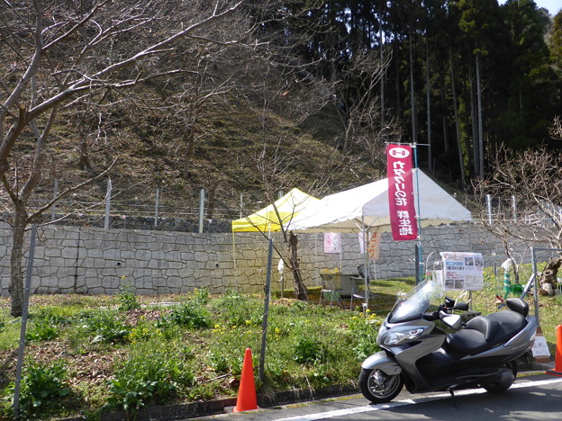 小野豆集落と棚田