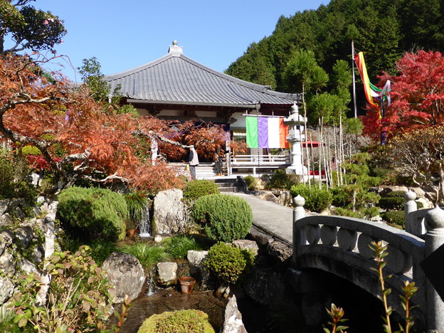 高蔵寺　阿弥陀堂