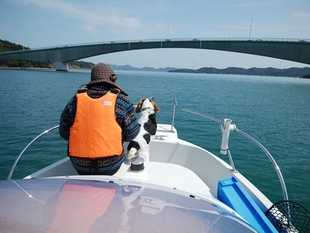Amakusa 4th bridge
