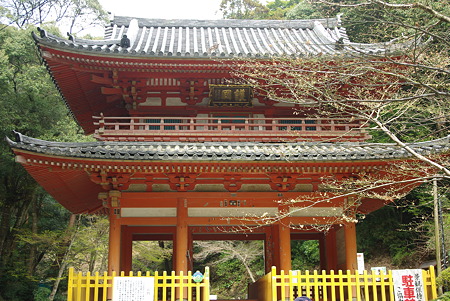 110410奥山花見05