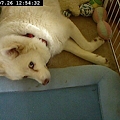 ましろちゃんチラ見(笑)