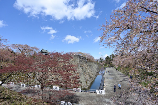 石垣補修のために弘前城の天守閣は不在中