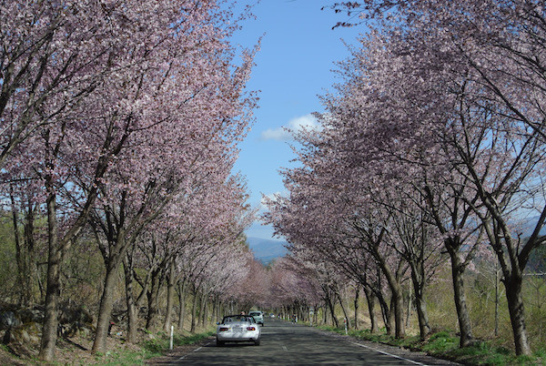 岩木山のネックレスロード