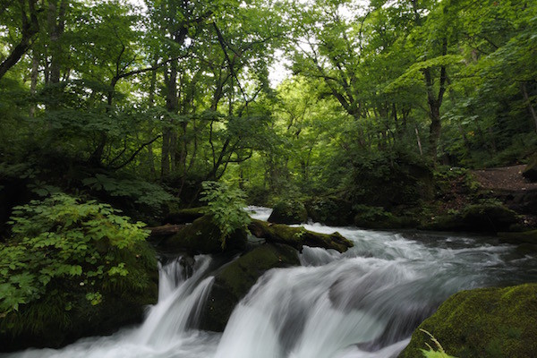 奥入瀬の景色と音と空気に心が洗われます。