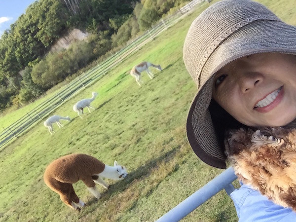 恵庭の公園で可愛い動物を見たり