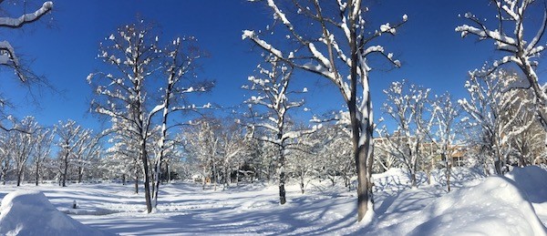 50年振りの大雪明けの12月24日の札幌は快晴
