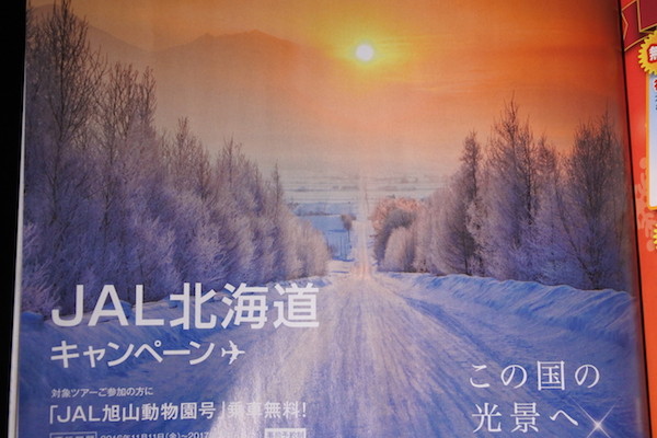 JAL機内誌にあった富良野の雪景色
