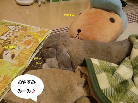 夜は5
