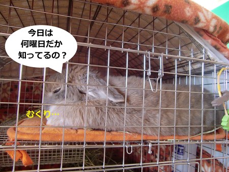あ3