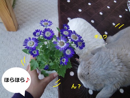 花2
