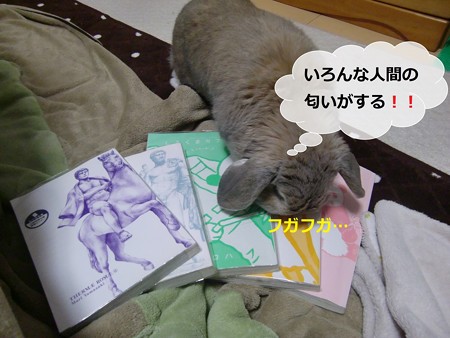 い1