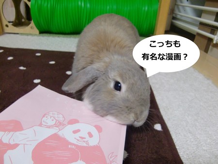 い3