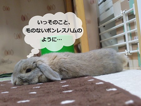 あ4