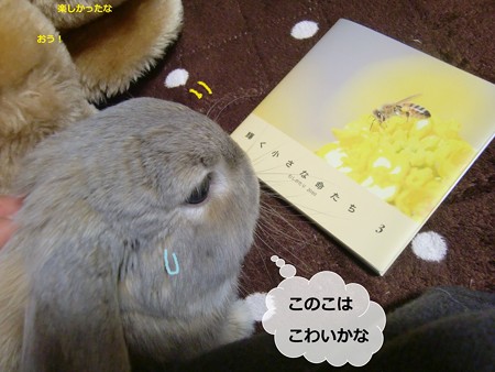 虫5