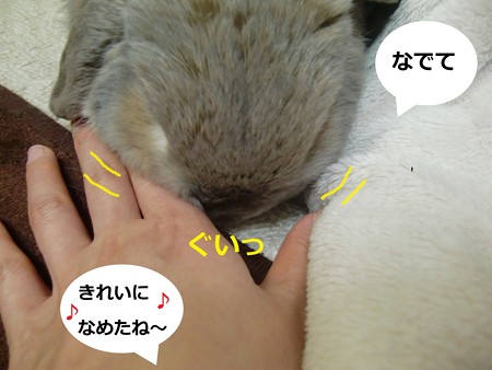レスキュー5