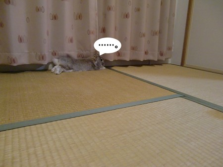 い3