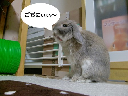 あ4