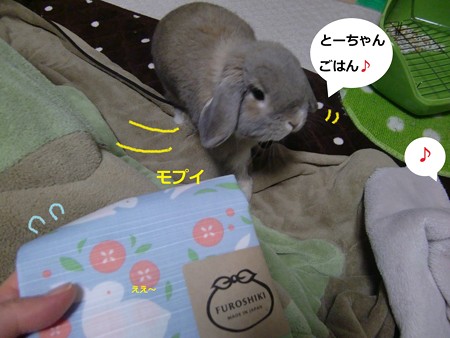 うさ小物4