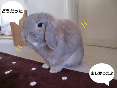 春6