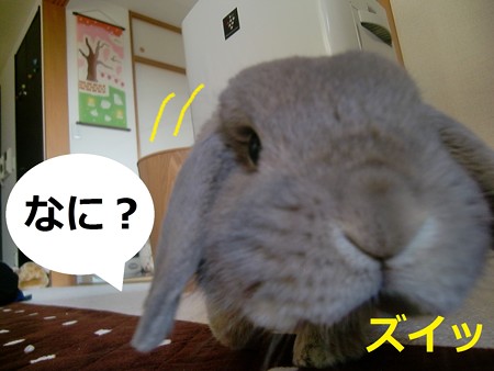 お花4