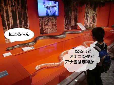 あ6